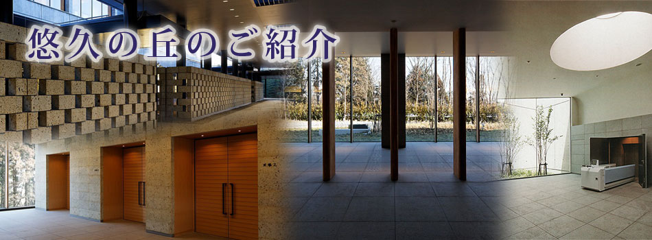 悠久の丘のご紹介